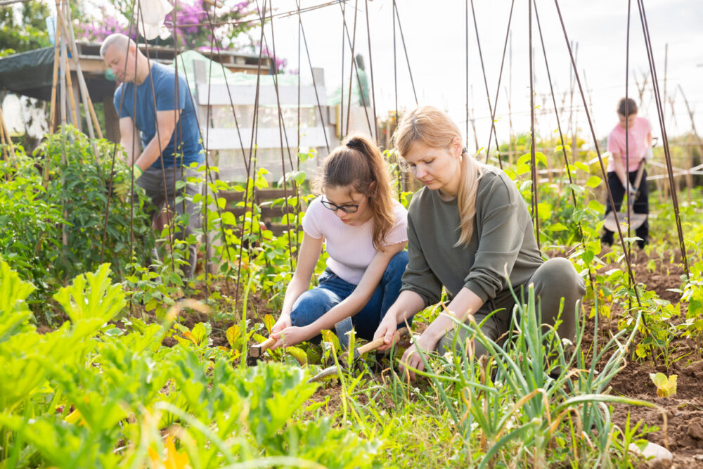 people at community allotment